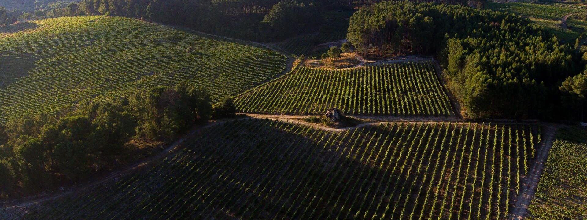 Quinta da Taboadella