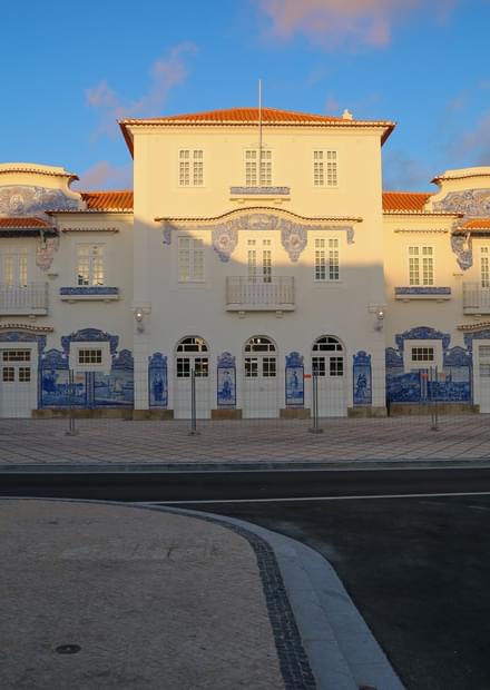 Recorrer Aveiro a pie