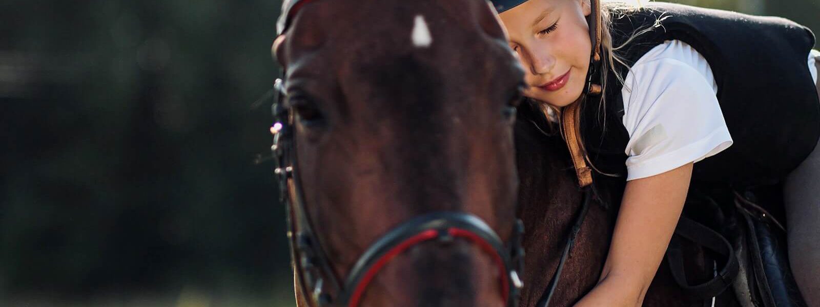 Centro Hípico de Alcaria