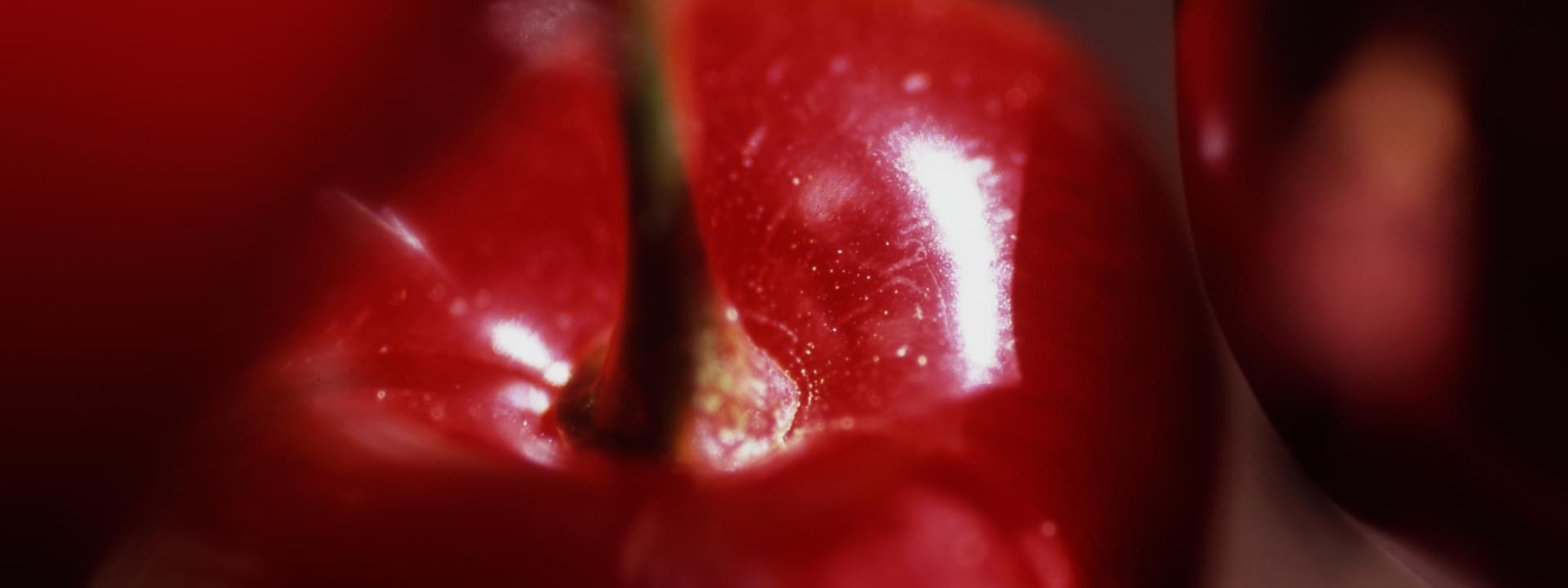 The Cherry Route