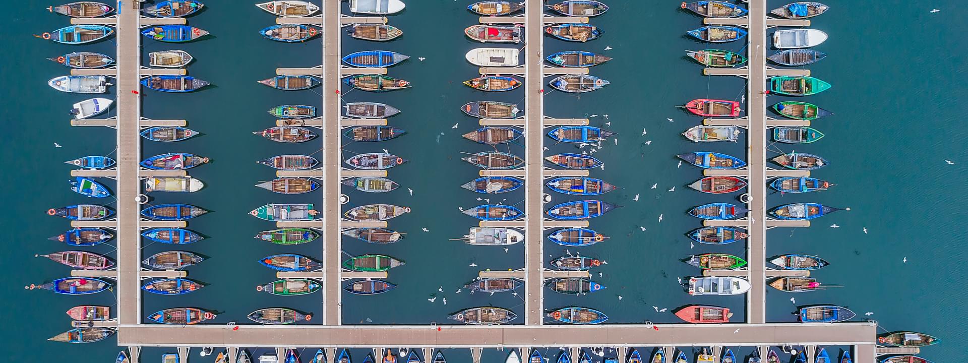 De Aveiro à Figueira da Foz