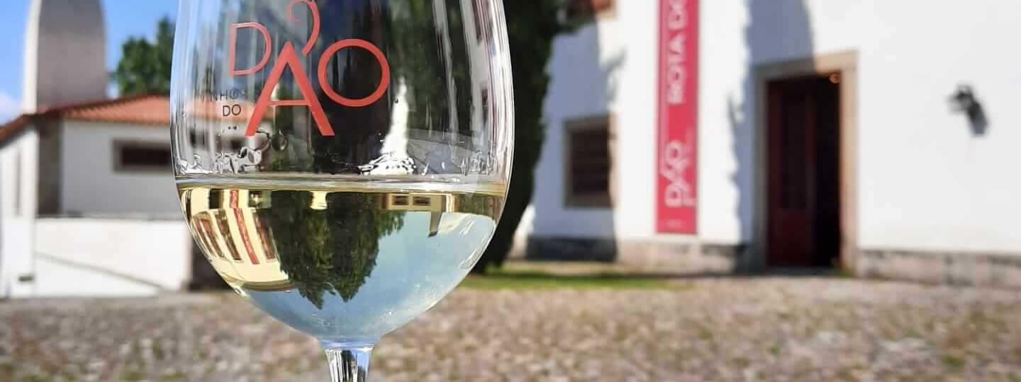 Welcome Center da Rota dos Vinhos do Dão