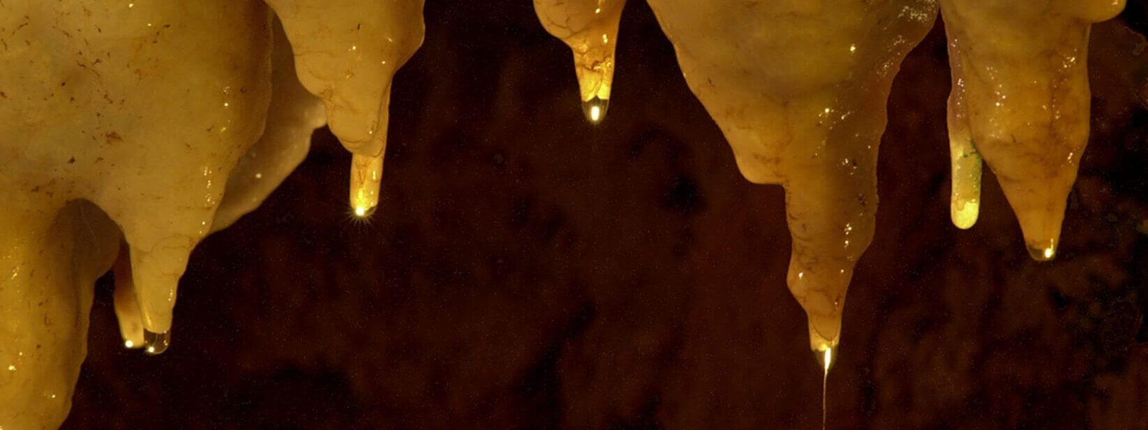Grutas da Moeda