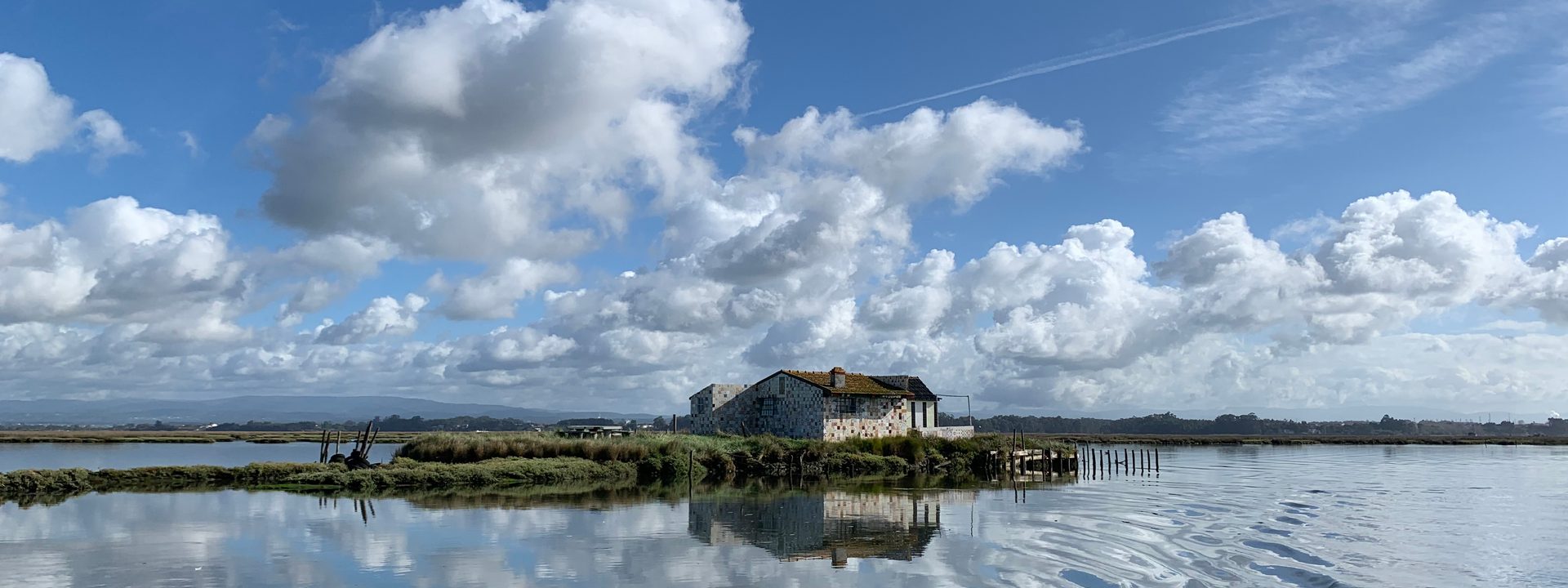 Sterna - Aveiro Ria Tours & Birdwatching