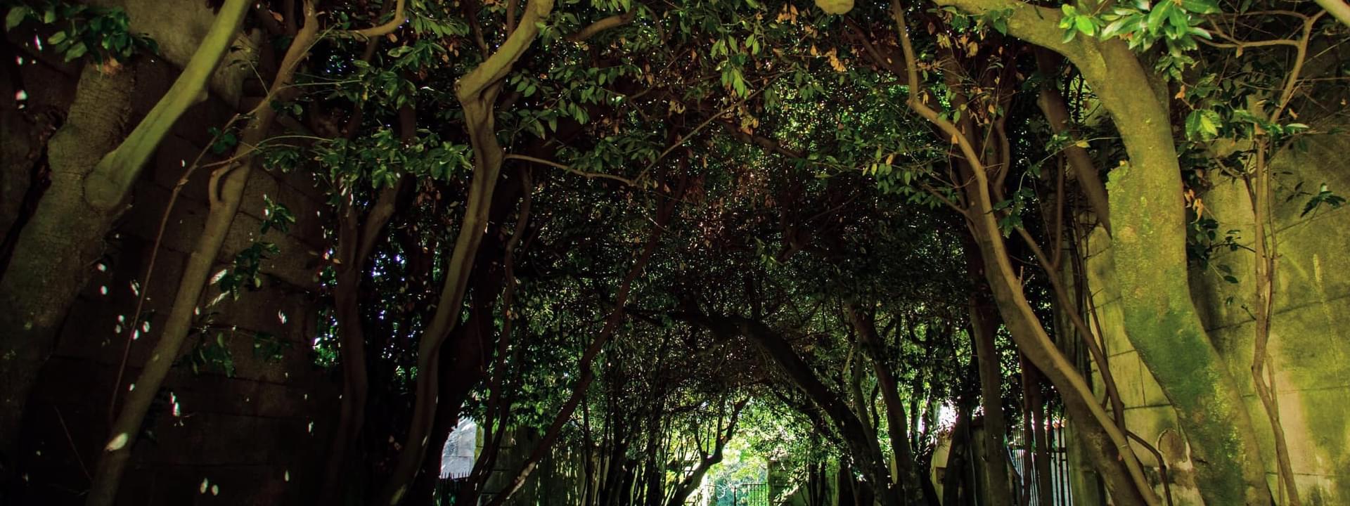 Palacio de los Condes de Anadia