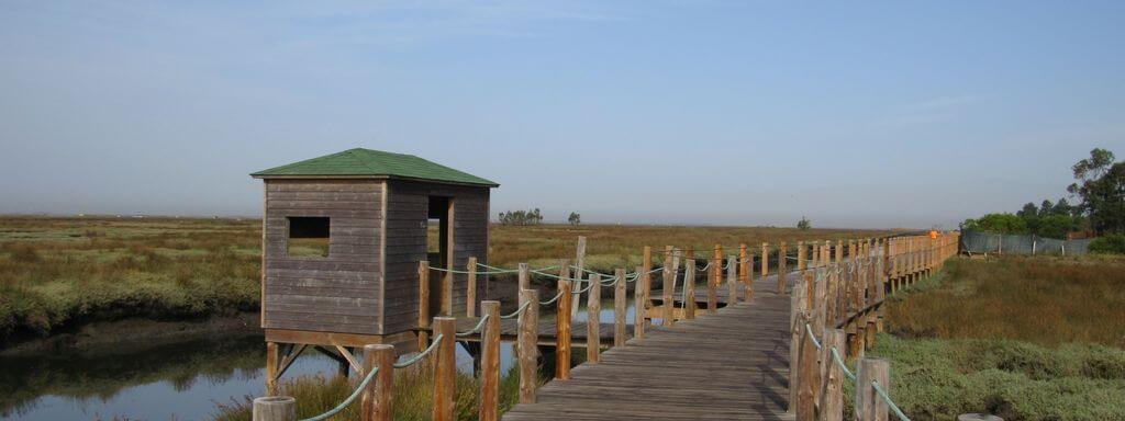 Aveiro wooden paths