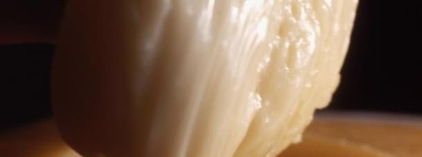 Serra da Estrela-Käse