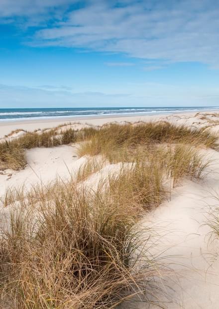 Natural Reserve of the São Jacinto Dunes