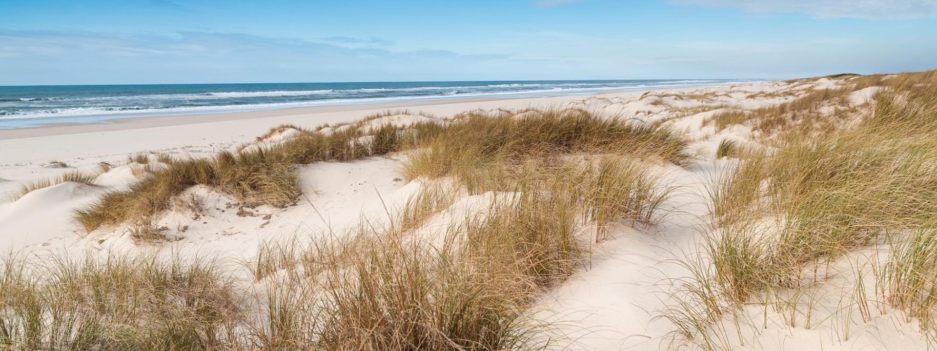 Reserva Natural de las Dunas de São Jacinto