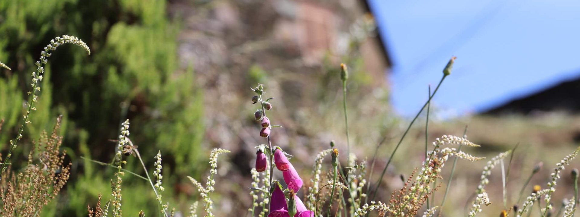 "Simply b" unique experiences