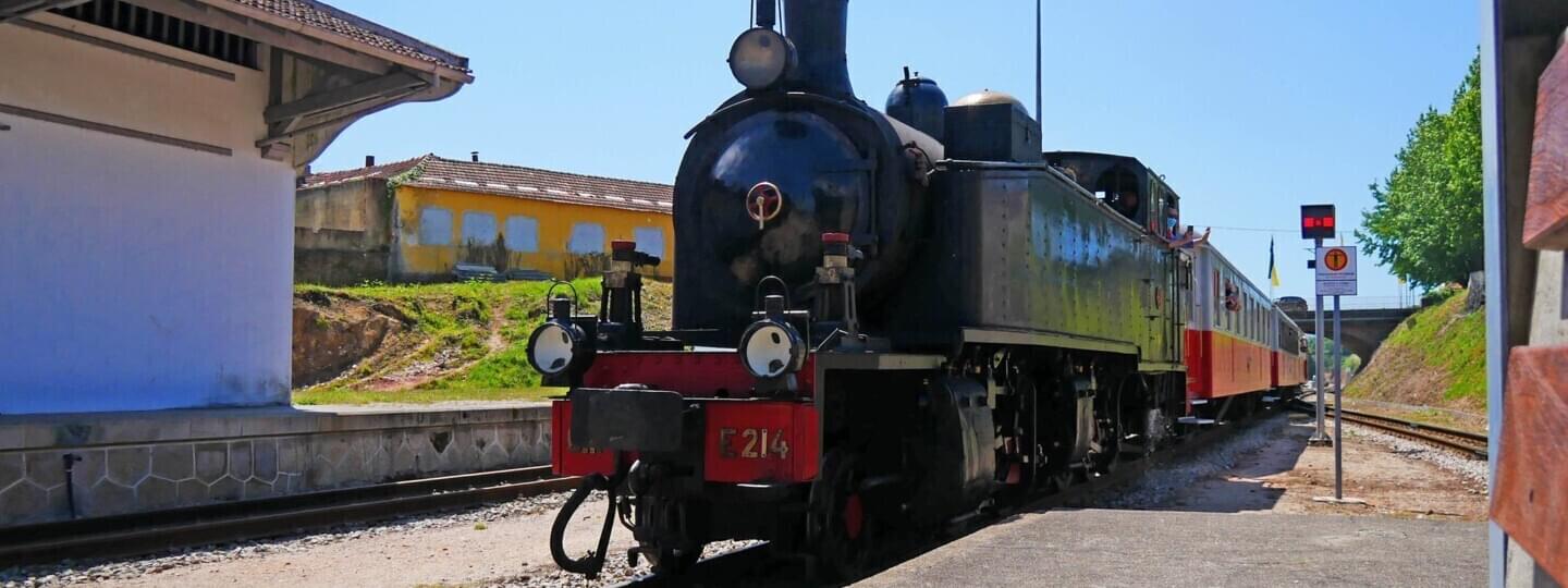 De comboio a vapor pelo Vouga