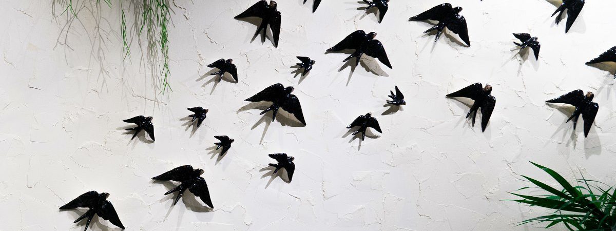 Birdwatching en Centro de Portugal