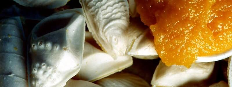 Ovos Moles de Aveiro