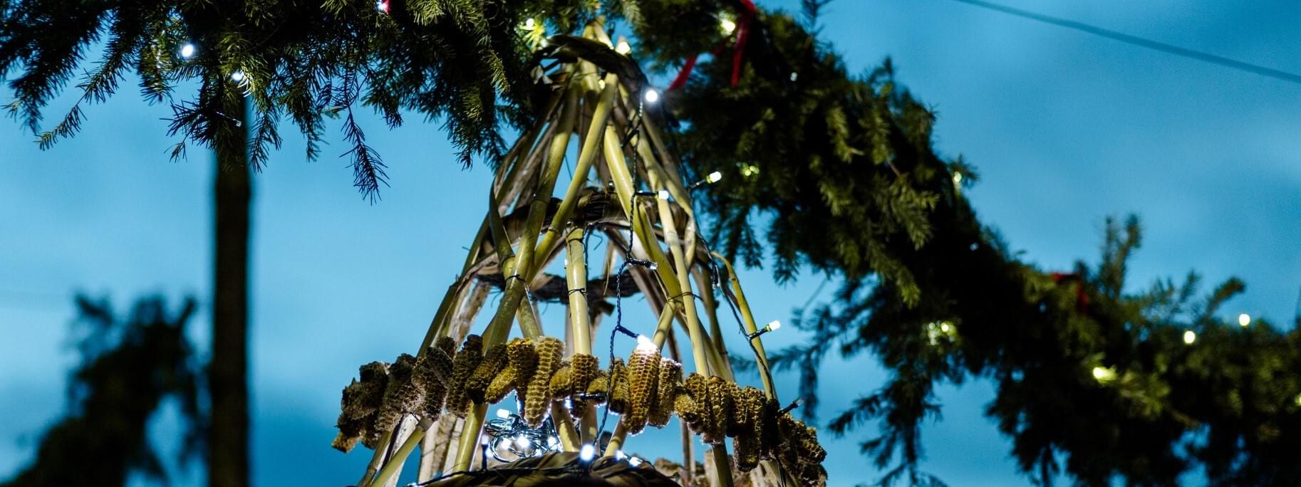 The best Christmas Villages in Center of Portugal