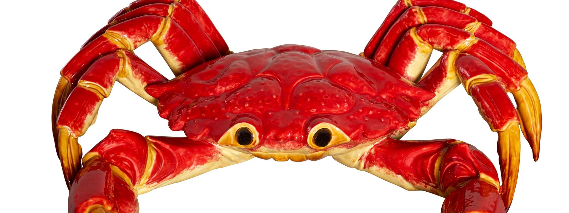 Costa Nova fish market