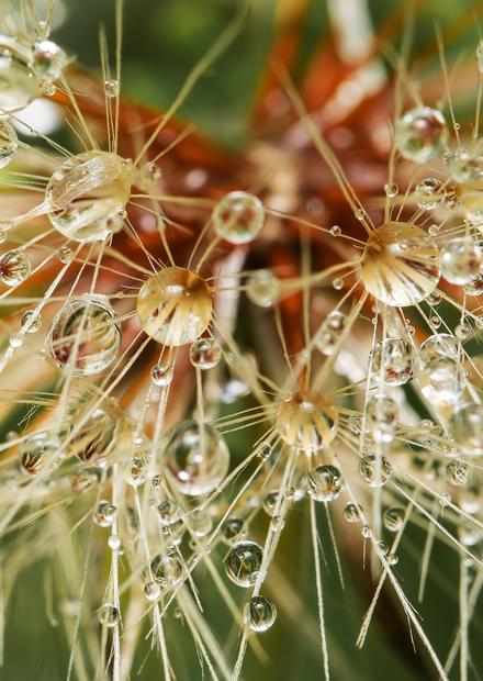 Allegro ma non troppo