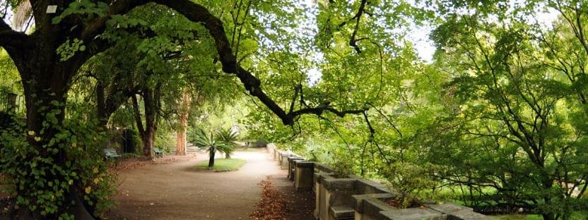 The green heart of Coimbra