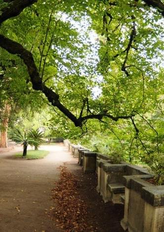 The green heart of Coimbra