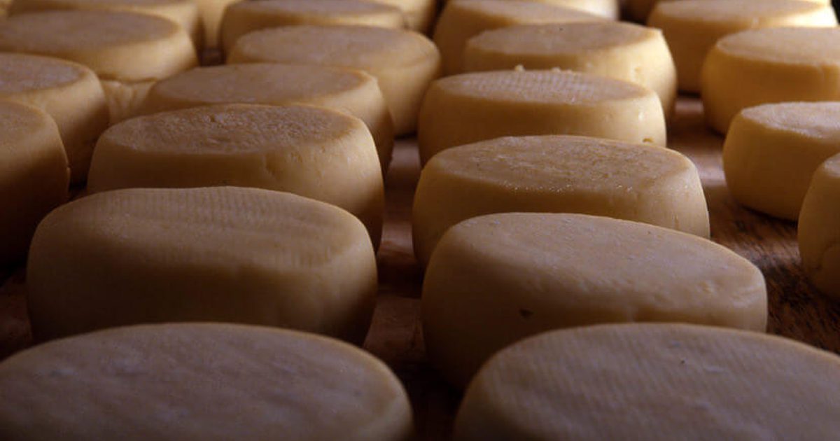Queijo do Rabaçal • Centro de Portugal