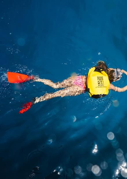 Diving in Berlenga