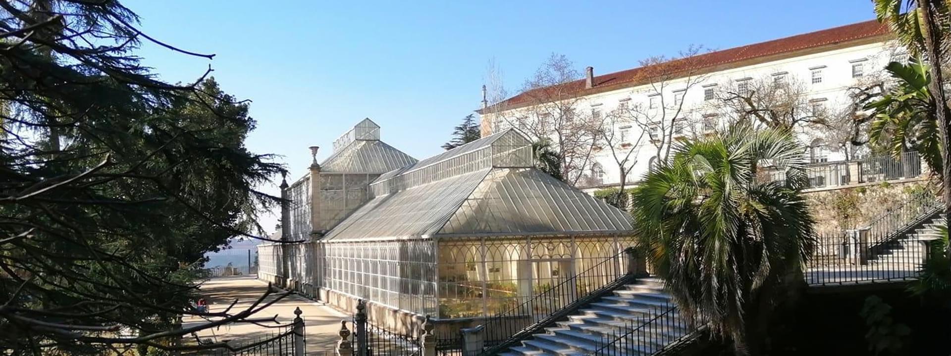 Estufa Tropical do Jardim Botânico da Universidade de Coimbra