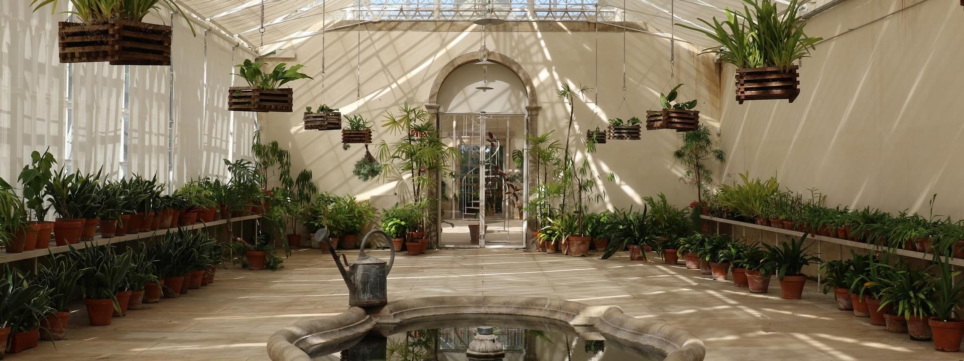 Coimbra Tropical