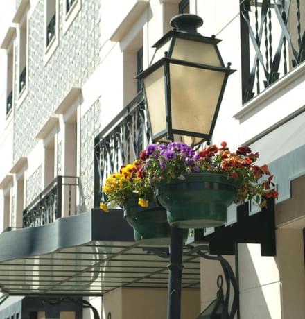 Hotel Moliceiro