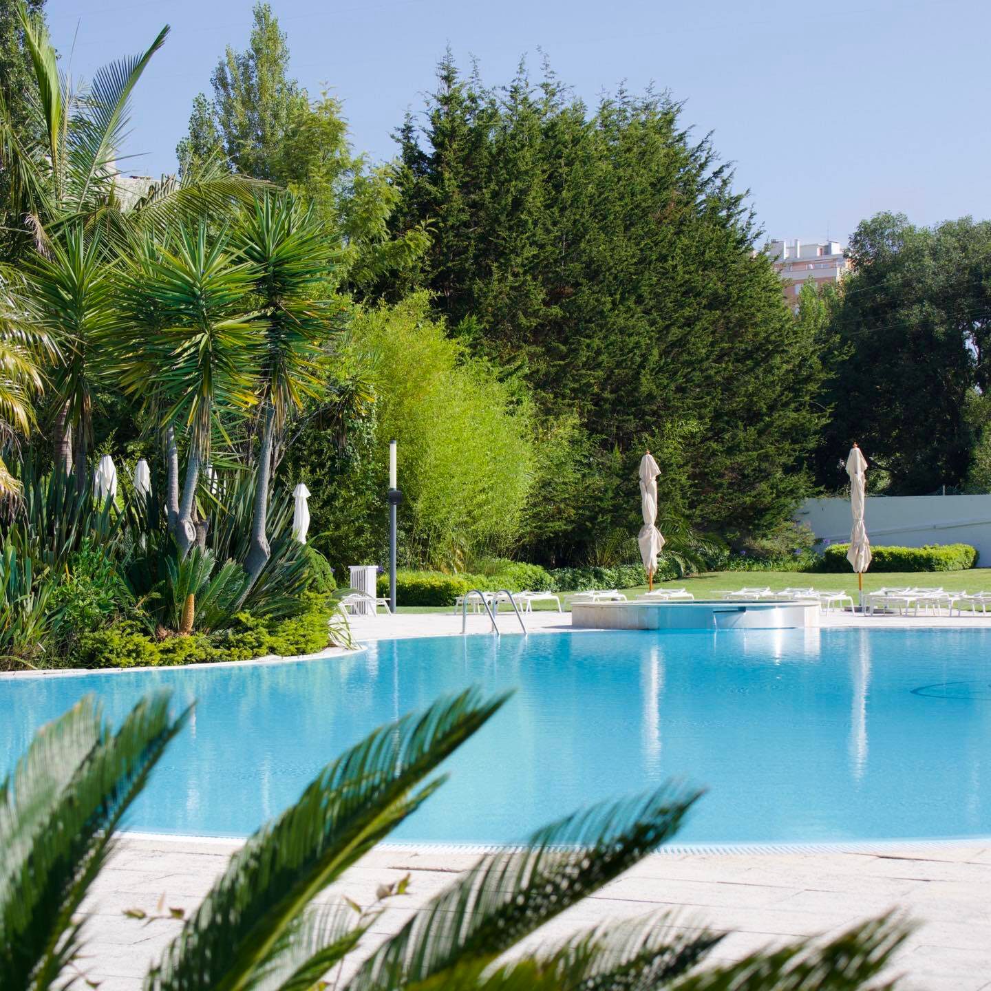 Malibu Foz Center Of Portugal malibu-foz-center-of-portugal