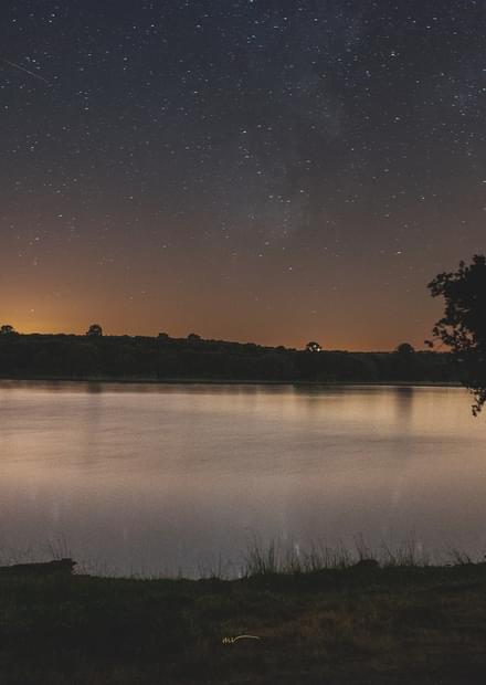Una copa de vino a la luz de las estrellas