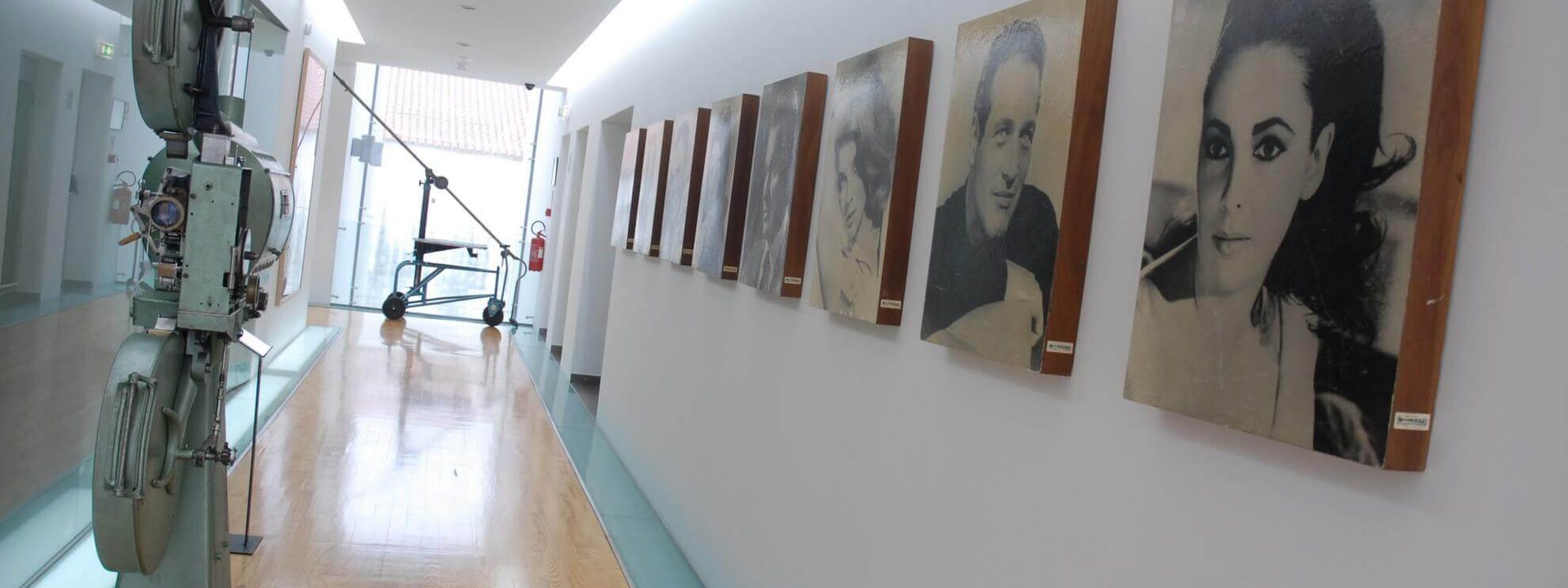 m|i|mo - museu da imagem em movimento