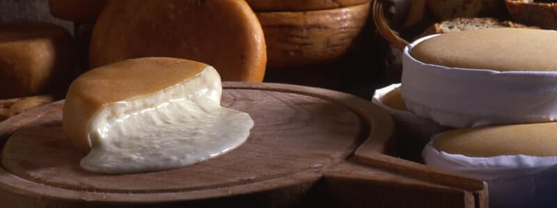 Serra da Estrela cheese