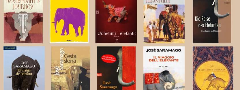 The Elephant's Journey