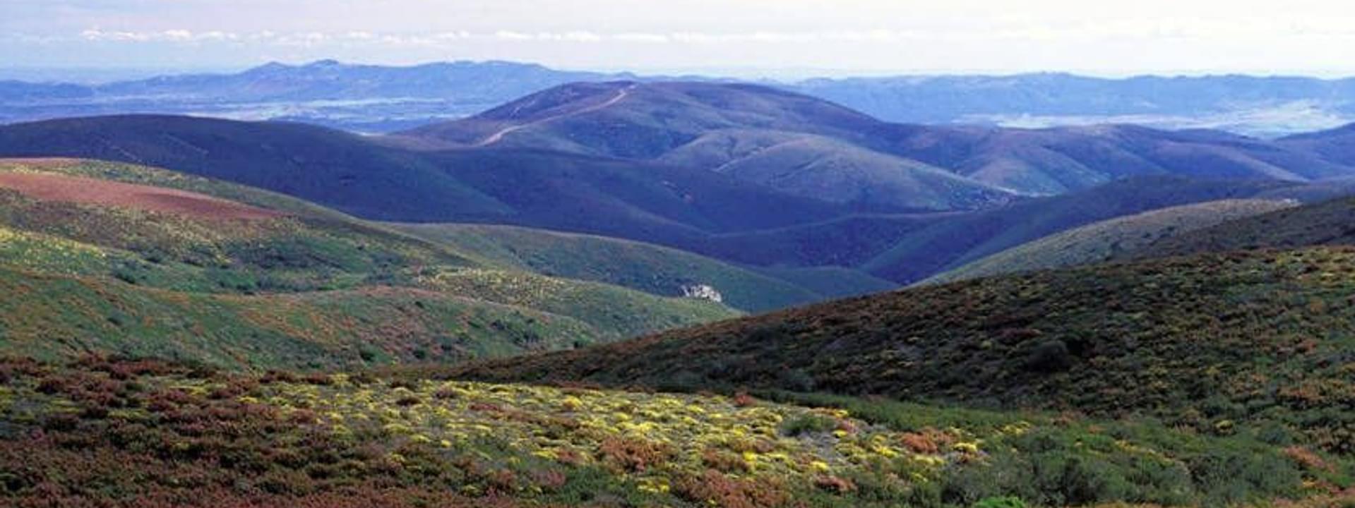Reserva Natural de la Sierra da Malcata