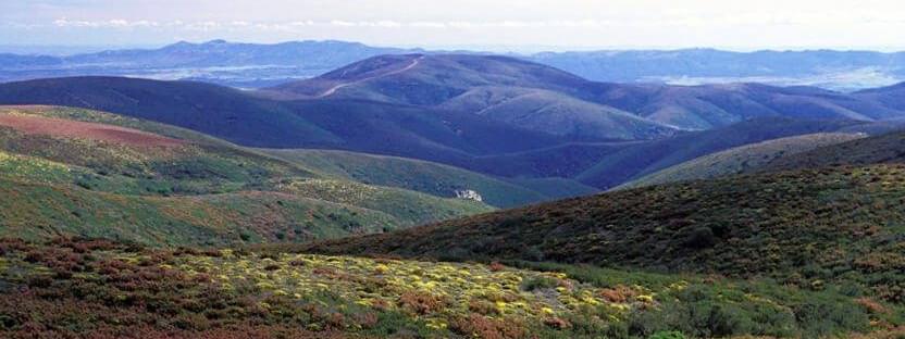 Reserve Naturelle de la Serra da Malcata