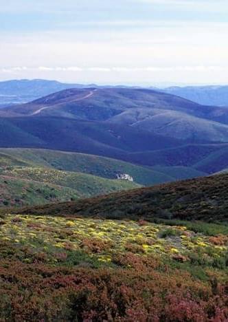 Reserve Naturelle de la Serra da Malcata