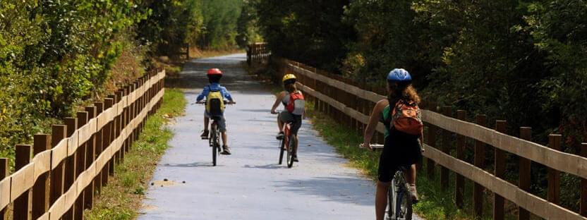 Dão Cycling Path